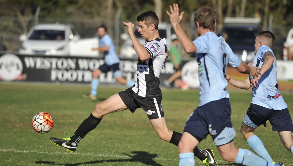 DERBY: A win against the Maitland Magpies will lift spirits at the Weston Bears who are yet to record a victory this season. Picture: PERRY DUFFIN