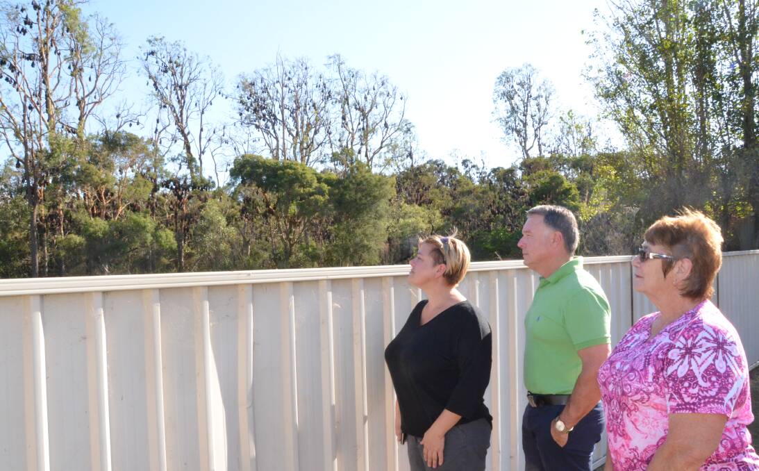 CALL FOR ACTION: Member for Hunter Joel Fitzgibbon inspects the East Cessnock flying fox colony with Long Street residents Cindy Jeffery and Pamela Jeffery on Wednesday. Picture: Krystal Sellars.