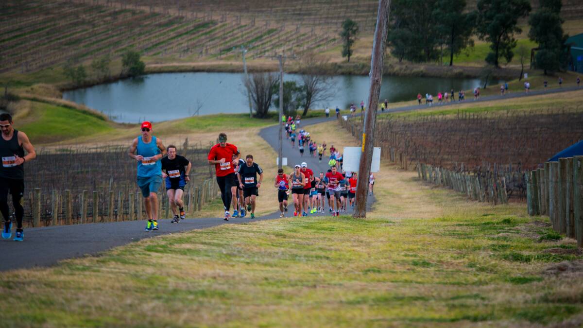 INCLINE: Runners tackle the Hunter's 'Heartbreak Hill' at Audrey Wilkinson Vineyard during a previous Winery Running Festival.