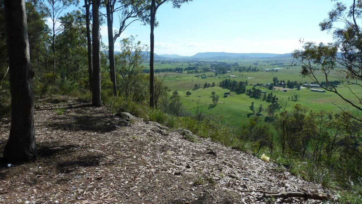 Have your say on Hunter River Reserve conservation