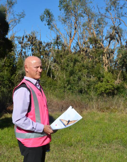 FEEDBACK WANTED: Cessnock City Council's director of planning and environment Gareth Curtis at the East Cessnock flying fox camp on Tuesday. Picture: Krystal Sellars