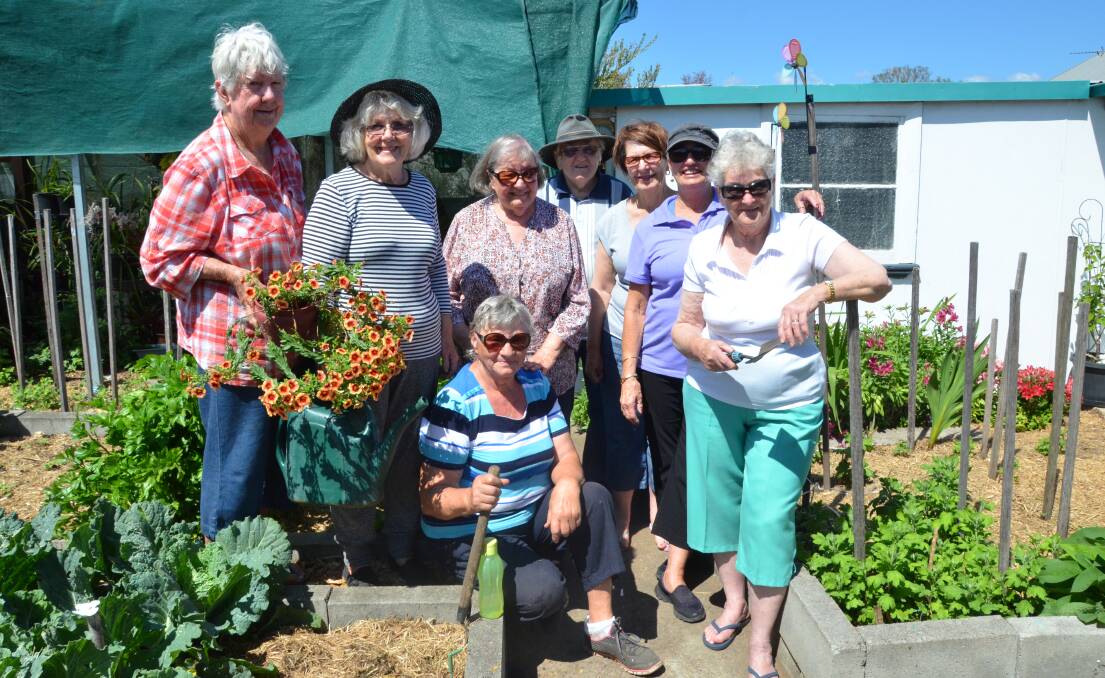 GREEN THUMBS: Cessnock Garden Club members held a working bee on Monday to prepare for the National Gardening Week open day this Saturday. Picture: Krystal Sellars