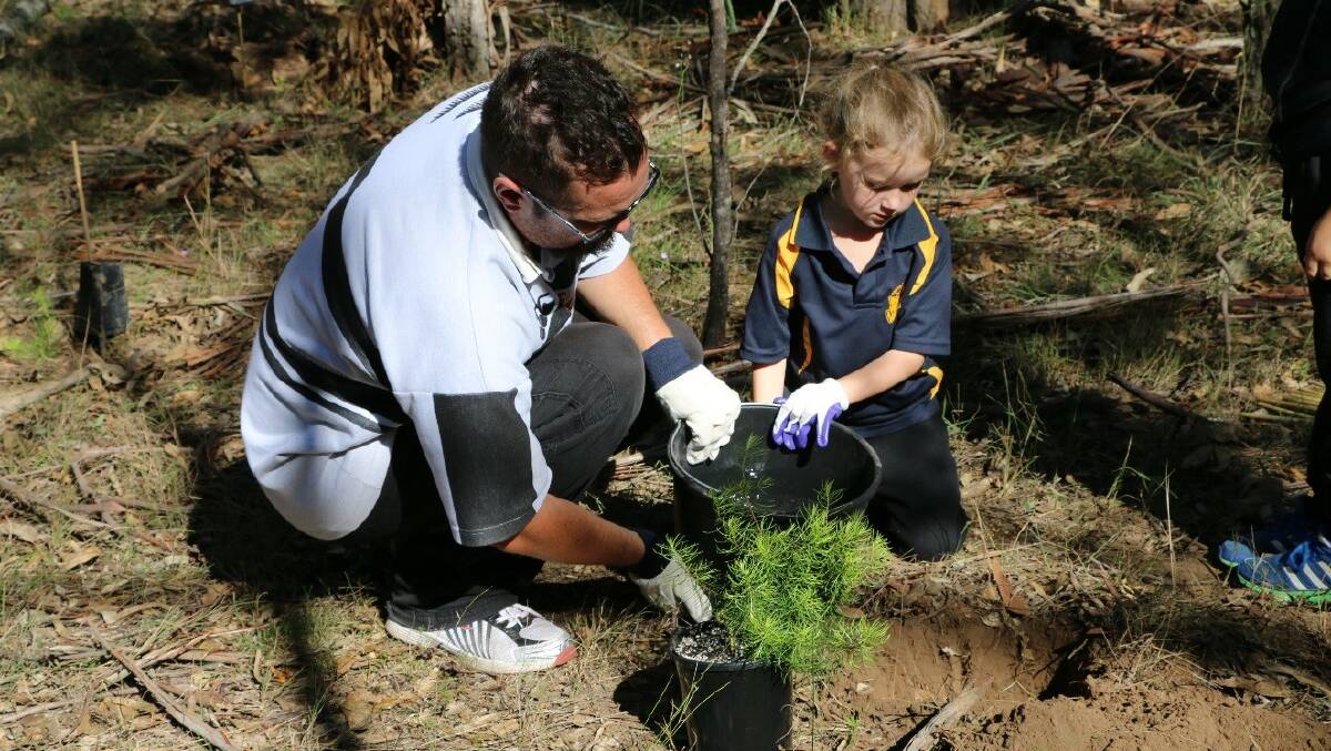 CONSERVATION: Local resident David See and daughter Georgia planting Persoonia pauciflora at North Rothbury. Picture supplied.