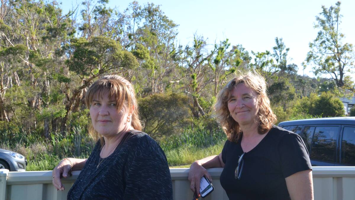 CONCERNED: Hallam Street residents Leonie Allan and Rachael Davies, across the road from trees that were almost destroyed by the bats last summer. Picture: Krystal Sellars