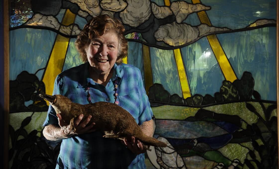 HANDS ON: Betty Johnson at Calvary Retirement Community, Cessnock with a stuffed platypus that was on display during Seniors Week. Picture: Perry Duffin