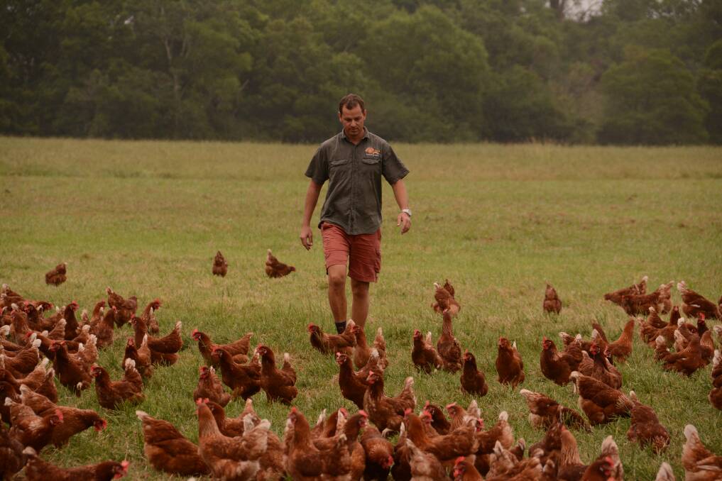 Manning Valley Free Range Eggs owner Peter Matuszny