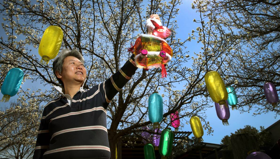 BRIGHT: Hunter Valley Moon Festival organiser Fanny Cheuk prepares lanterns for the upcoming event. Picture: MARINA NEIL