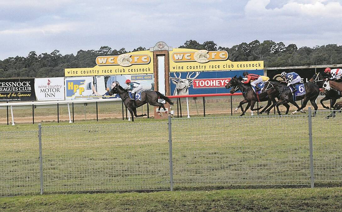 Robert Thompson rode Youthful King to victory in the 2015 Cessnock Leagues Club Jungle Juice Cup.
