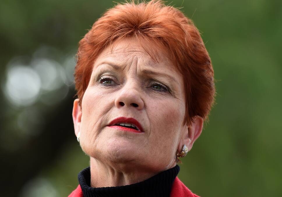 POINT-SCORING: One Nation leader Pauline Hanson ... 'Unfortunately, people like Pauline Hanson and others use this issue to gain power', says Mr Al-Mudafer.