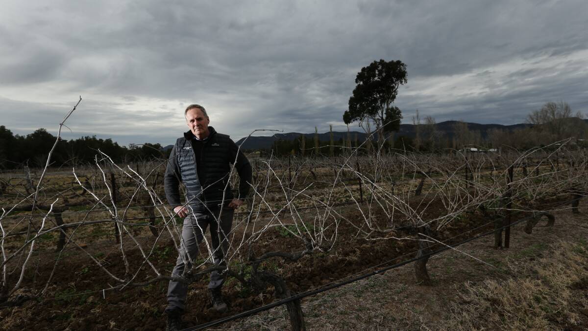 DRY WHITE: Keith Tulloch of Keith Tulloch Wine inspecting the soil quality at his Pokolbin vineyard on Tuesday. Picture: Jonathan Carroll