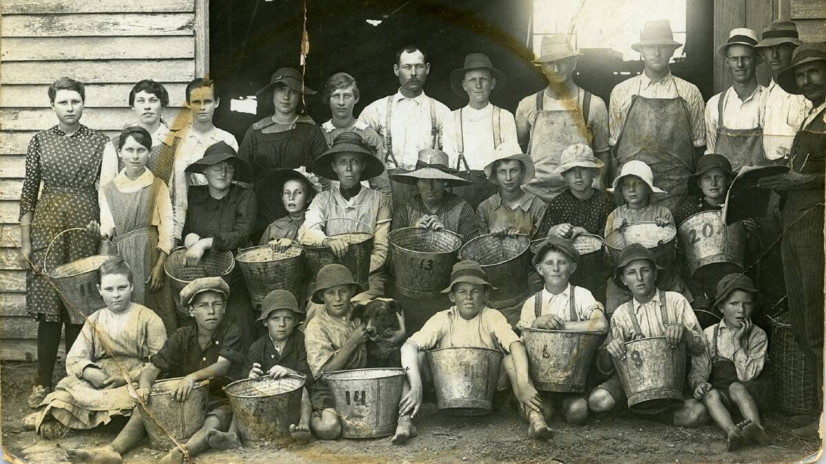 A LOOK AT THE PAST: This undated picture shows grape pickers, young and old, at Keinbah. Picture courtesy Coalfields Heritage Group. 