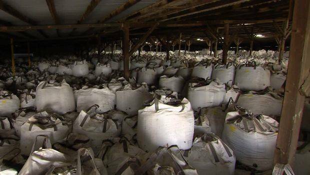Bagged: Waste glass from NSW in mass storage in a shed in Victoria. Picture: ABC.