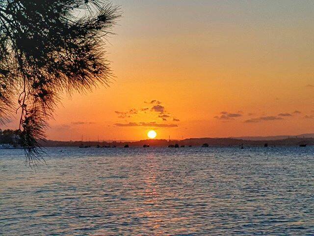 MORNING SHOT: INSTA @peterjrodda Sunset is always nice over Lake Macquarie . . . #newsouthwales #sunset #lakemacquariensw #newcastlensw #australia