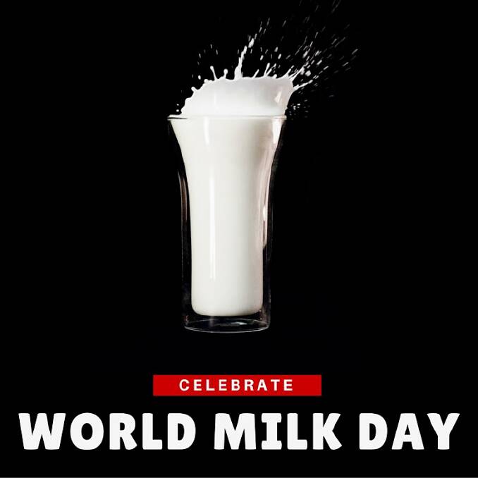 Celebrate World Milk Day | poll