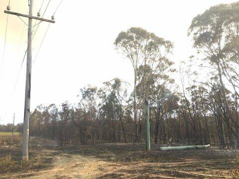 This pole was burned through by bushfire between Cessnock and Paxton. 