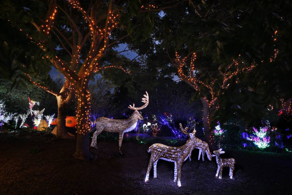 LIGHT UP: The Hunter Valley Gardens, illuminated by two million lights, will open its Christmas displays on Friday. We're giving away two free family passes. Picture: Supplied