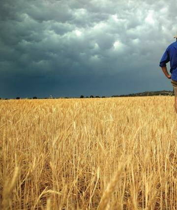 Shifting rainfall patterns and hotter weather will be tough for some farmers. Photo: Louise Kennerley