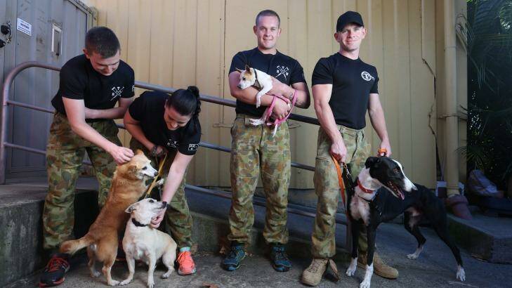 Soldiers Nick Shore, Chelcie Pike, Luke Samson and Clinton Bell at the Sydney Dogs and Cats Home. Photo: Louise Kennerley