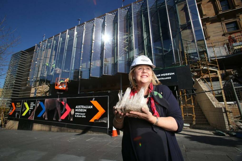 New beginnings: Australian Museum chief executive Kim McKay outside the new Crystal Hall entrance, which will be opened on September 9. Photo: Louise Kennerley