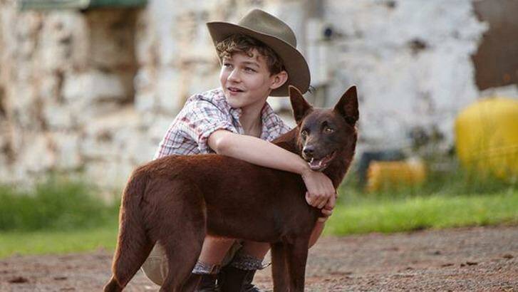 Levi Miller and Phoenix in <i>Red Dog: True Blue</i>. Photo: Supplied