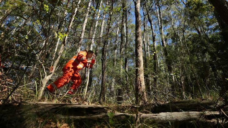 A SES volunteer walks through the bush searching along Haydons Road in the Middle Brother State Forest approximately 12km from Kendall looking for any clothing or signs of 3 year old William Tyrell Photo: Kate Geraghty