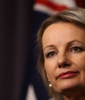 Health Minister Sussan Ley Photo: Andrew Meares