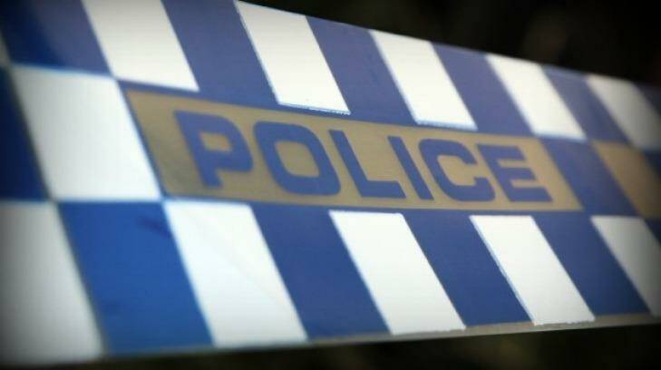 Police investigated an attack by dogs on two women.