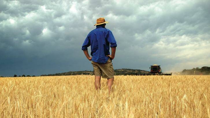 Shifting rainfall patterns and hotter weather will be tough for some farmers. Photo: Louise Kennerley