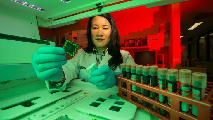 Dr Lesley Cheng is working on a blood test to diagnose Alzheimer's disease. Photo: Jason South