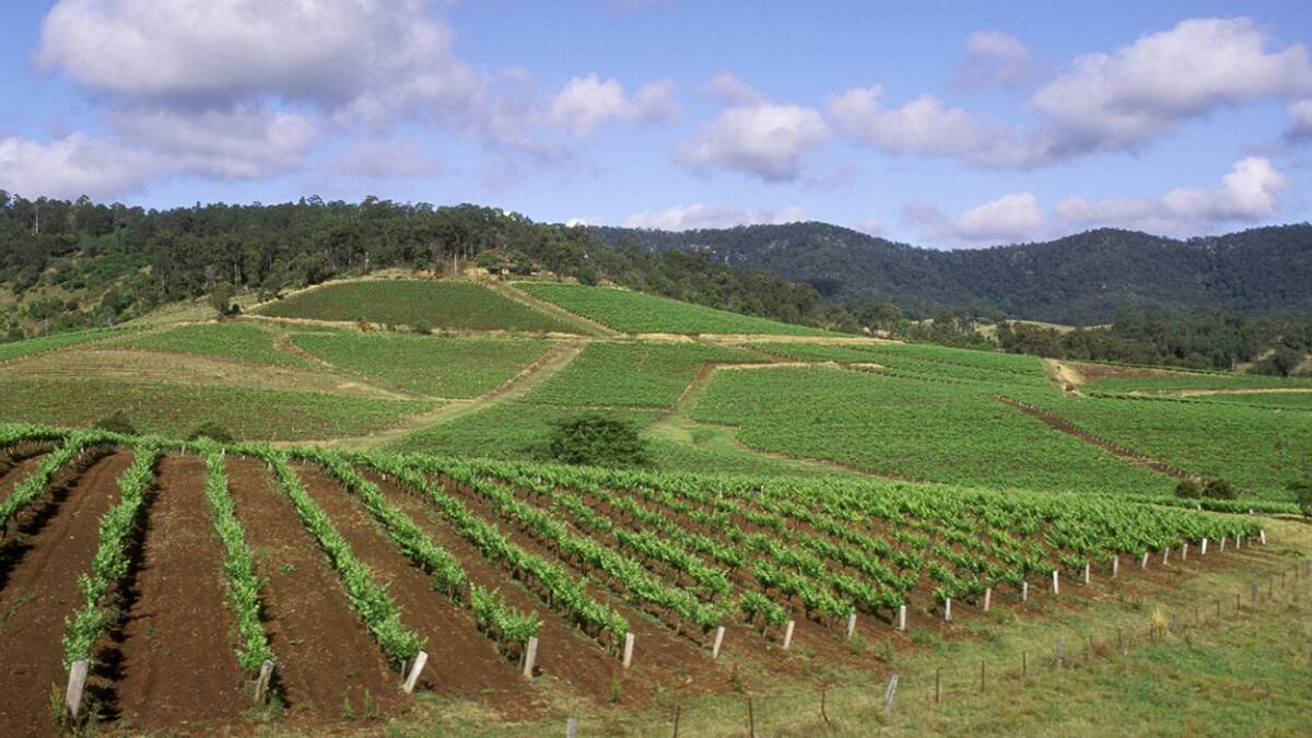 Hunter Valley named Australia's best wine region