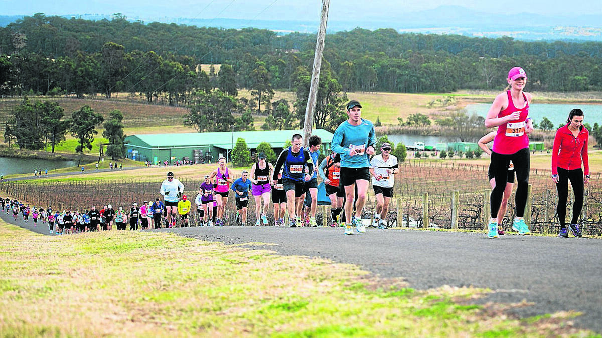 FUN RUN: Competitors in action at a previous Hunter Valley Winery Running Festival event.