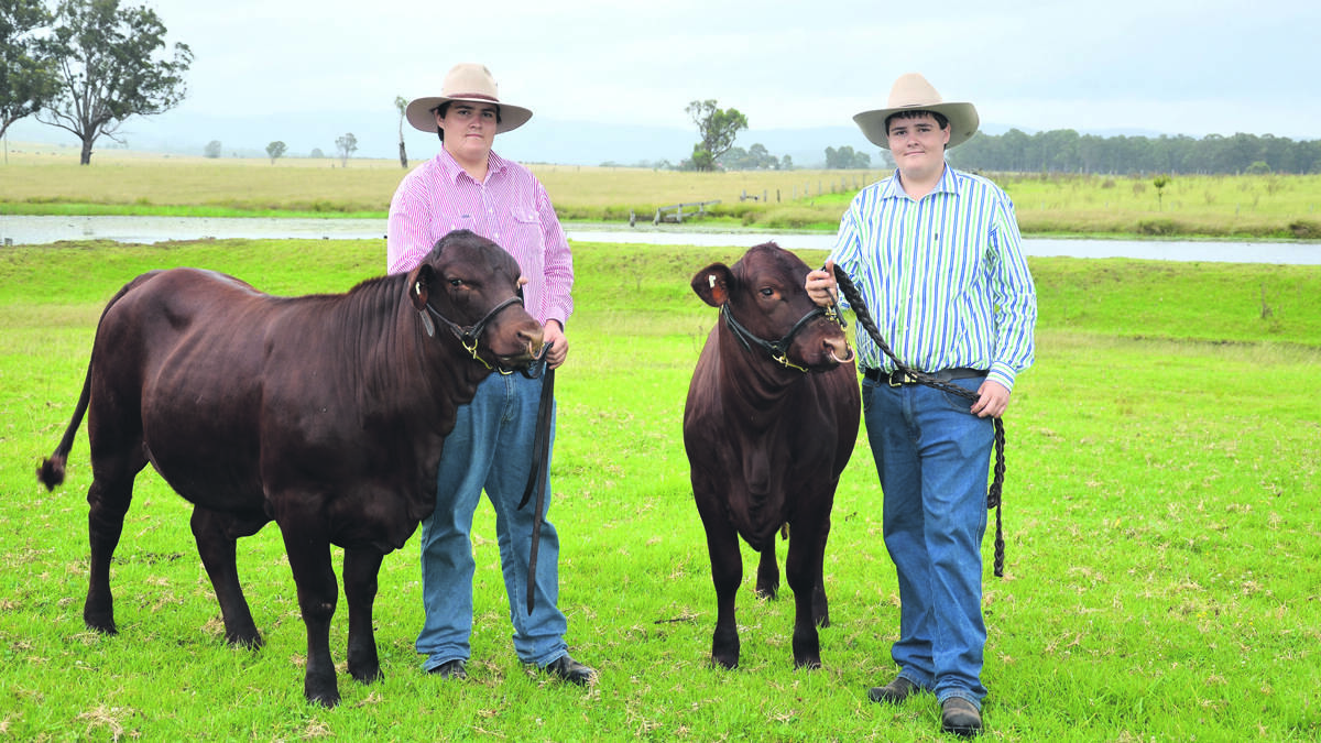 FAMILY TRADITION: Quorrobolong twins Jake and Dylan Craft (pictured with Barraba Felicity and Barraba Flair) are showing cattle at the Sydney Royal Easter Show.
