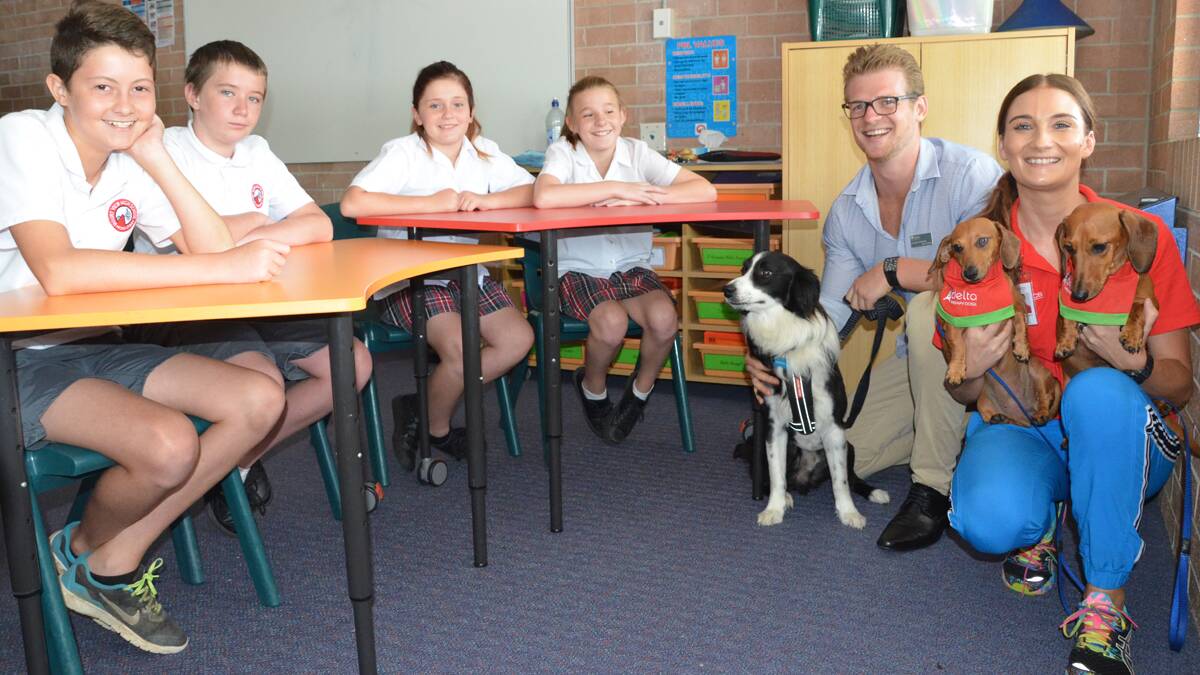 ASSISTANCE: Mount View High School year seven students Izaac Legge, Nothaniel Wild, Phoebe Walton and Allana Ridley with school counsellor Lincoln Comans and his border collie Brando and Rowena Zakrzewski with dachshunds Peta and Marble.