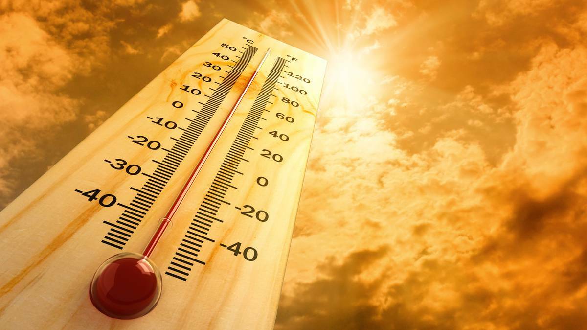 It certainly was a scorcher last Friday with the temperature reaching a blistering maximum of 39.5 degrees celsius in Cessnock. 