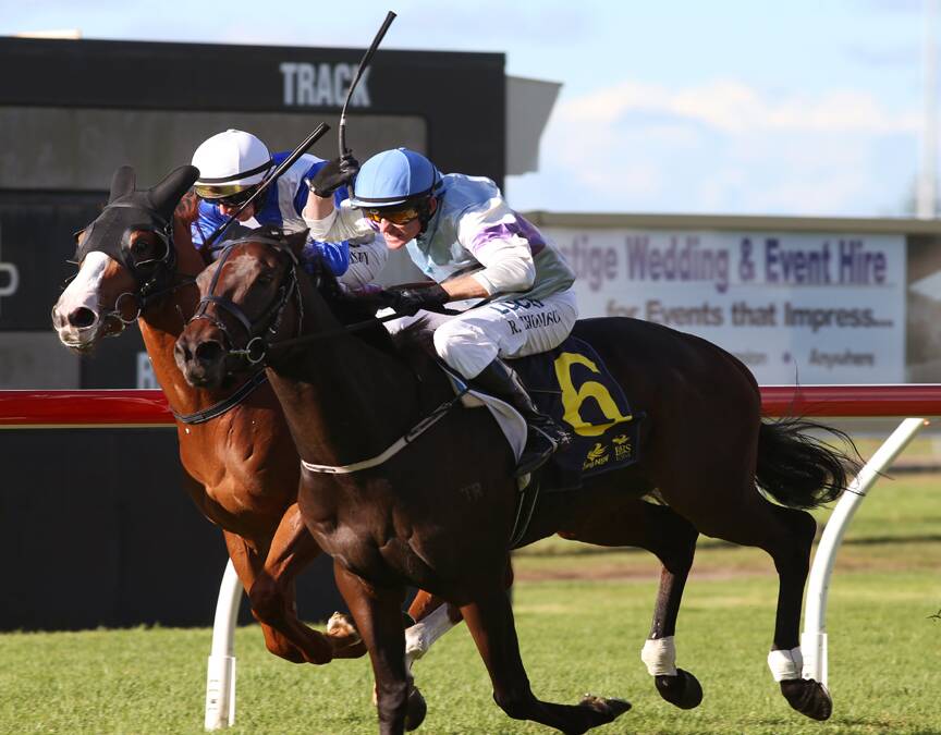 SPECIAL DAY: Thompson rides Lay Down The Law to victory at Broadmeadow on Saturday.