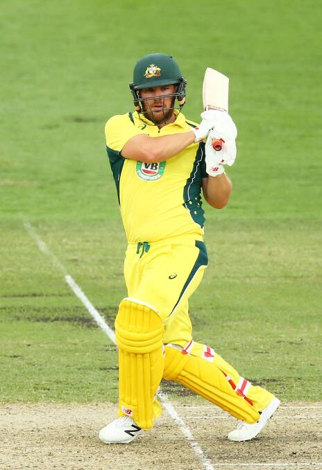 STAR: Aaron Finch in action against India at Manuka Oval on January 20. (Photo by Mark Nolan/Getty Images).