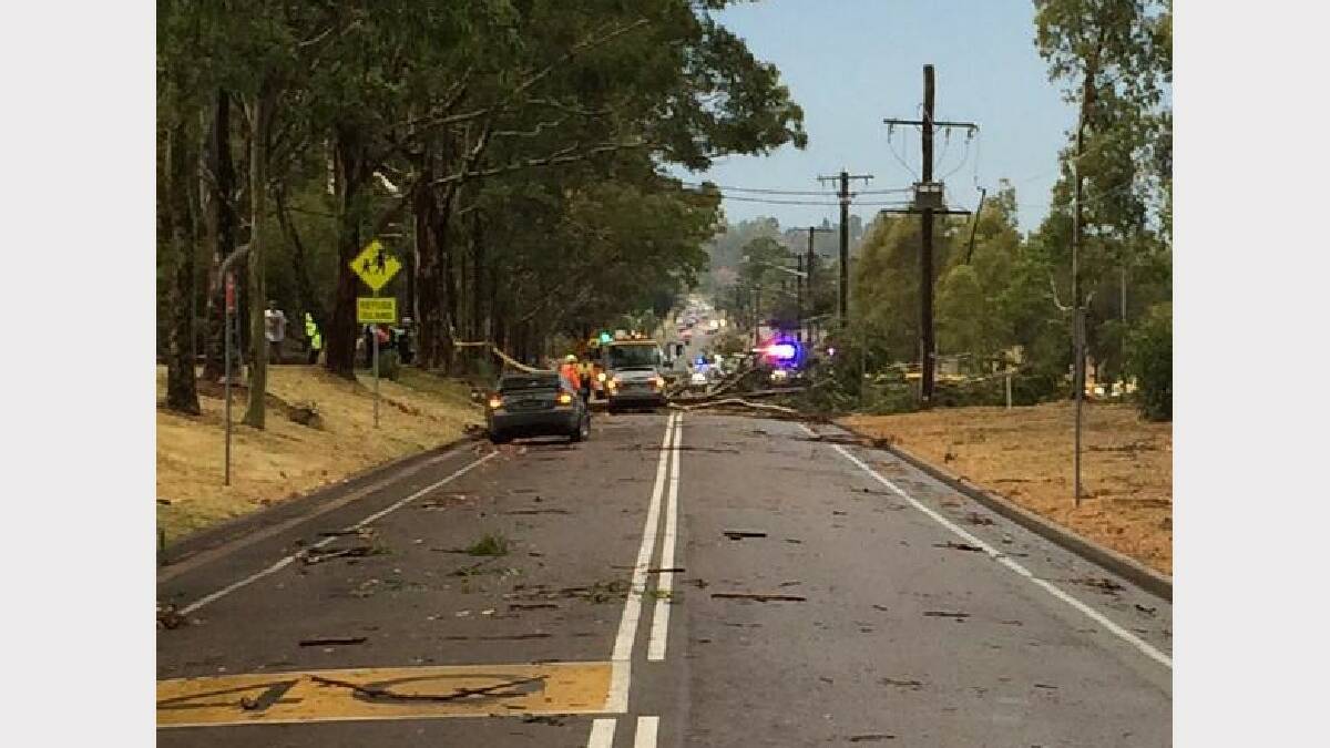 Clayton Barr MP, Member for Cessnock shared this photo on Twitter, where a tree landed on a car on Mount View Road.
