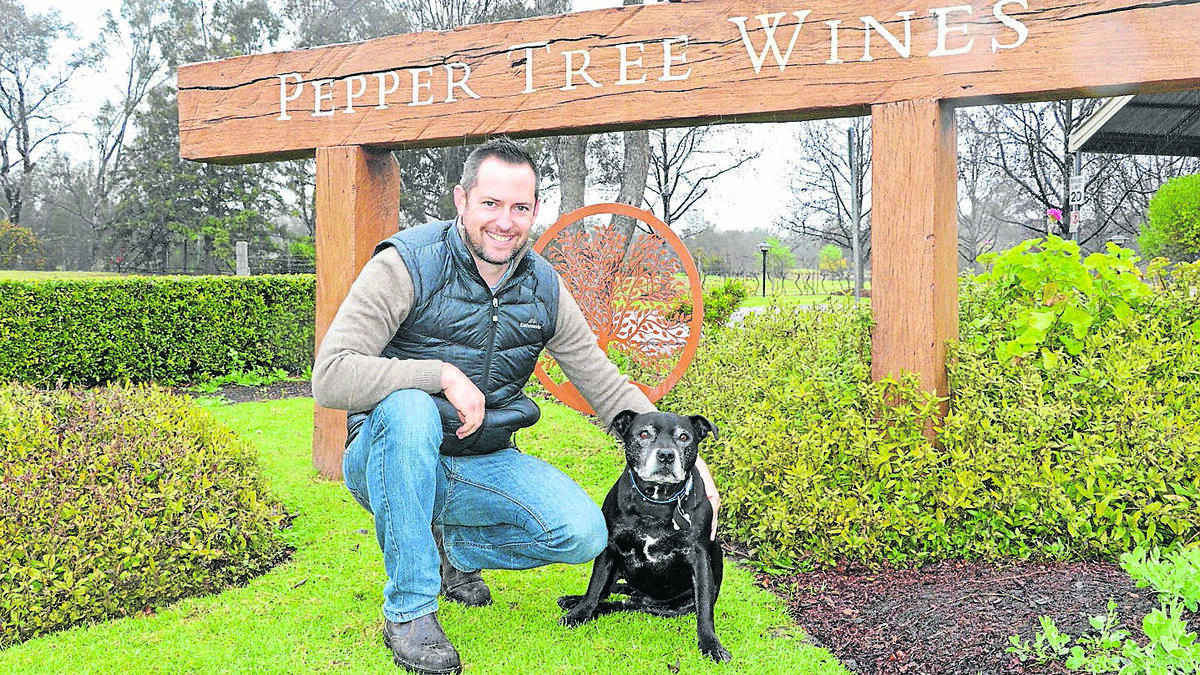 FUN: Pepper Tree Wines chief winemaker Scott Comyns and his dog Dexter, ready for the Pooch Picnic this Sunday.