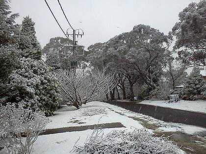 A layer of snow covers the ground at Mount Victoria today.