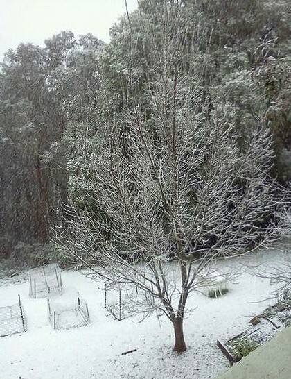 Snow at Mount Victoria in the Blue Mountains.