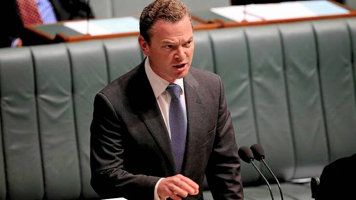 Coalition MP Christopher Pyne has spoken of his family's IVF battle.
