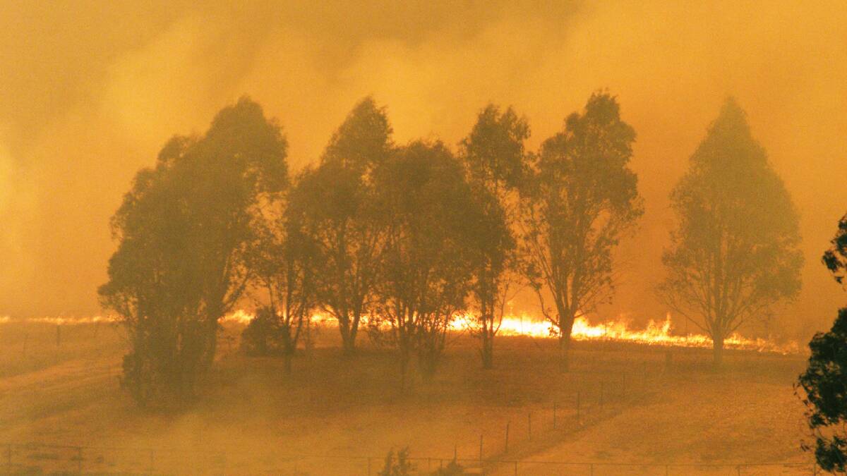 A fire approaches a horse stable and residences in the suburb of Curtin during Canberra's 2003 fires. Photo: SEAN DAVEY