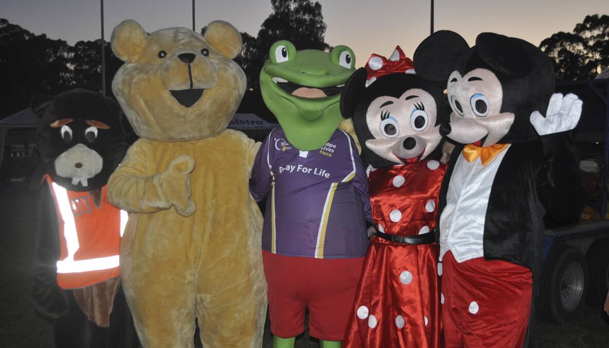 CESSNOCK RELAY FOR LIFE 2013: The participants in the mascot race. Photo: The Advertiser.