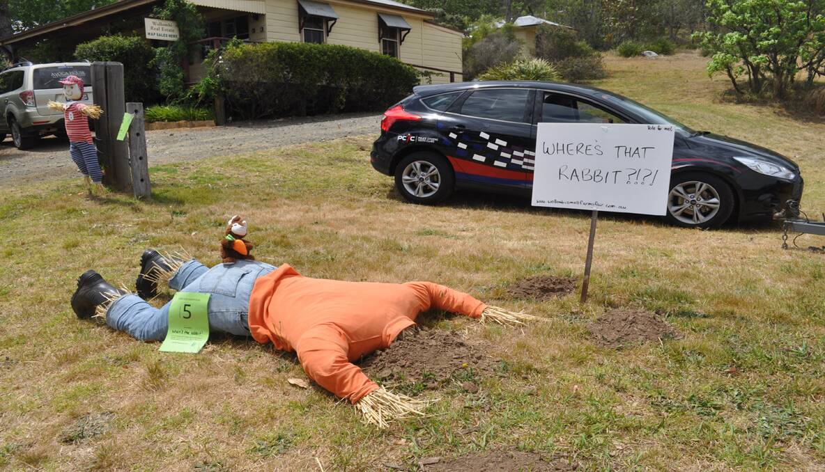 Entries in the scarecrow competition.