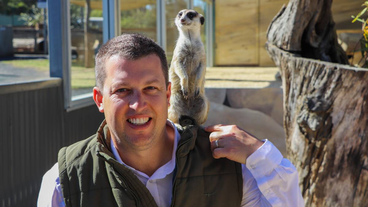Cessnock Mayor Jay Suvaal with one of the meerkats at the Hunter Valley Wildlife Park. Picture supplied. 