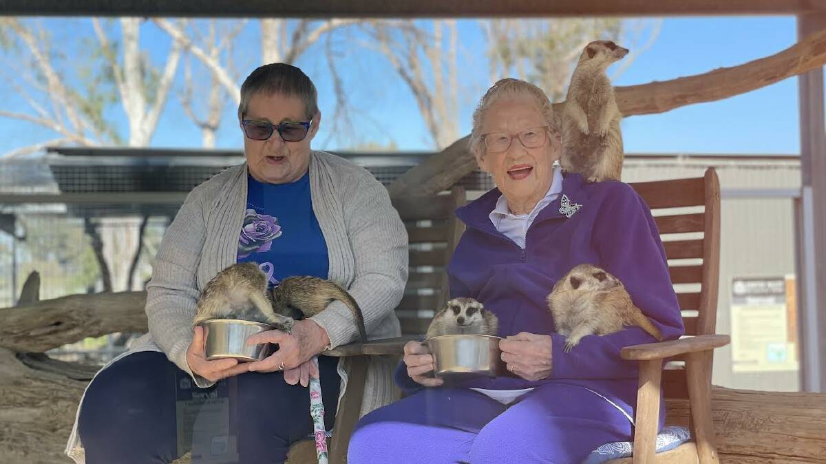 MEERKATS: Hunter centenarian Muriel Jackson with her daughter Dawn Dean (left) at a meerkat encounter at the Hunter Valley Wildlife Park. Picture by Laura Rumbel. 