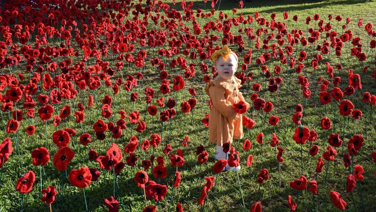 Stevie Lyons from Heddon Greta at the River of Poppies at Col Brown Rotary Park, Kurri Kurri. Picture by Laura Rumbel 