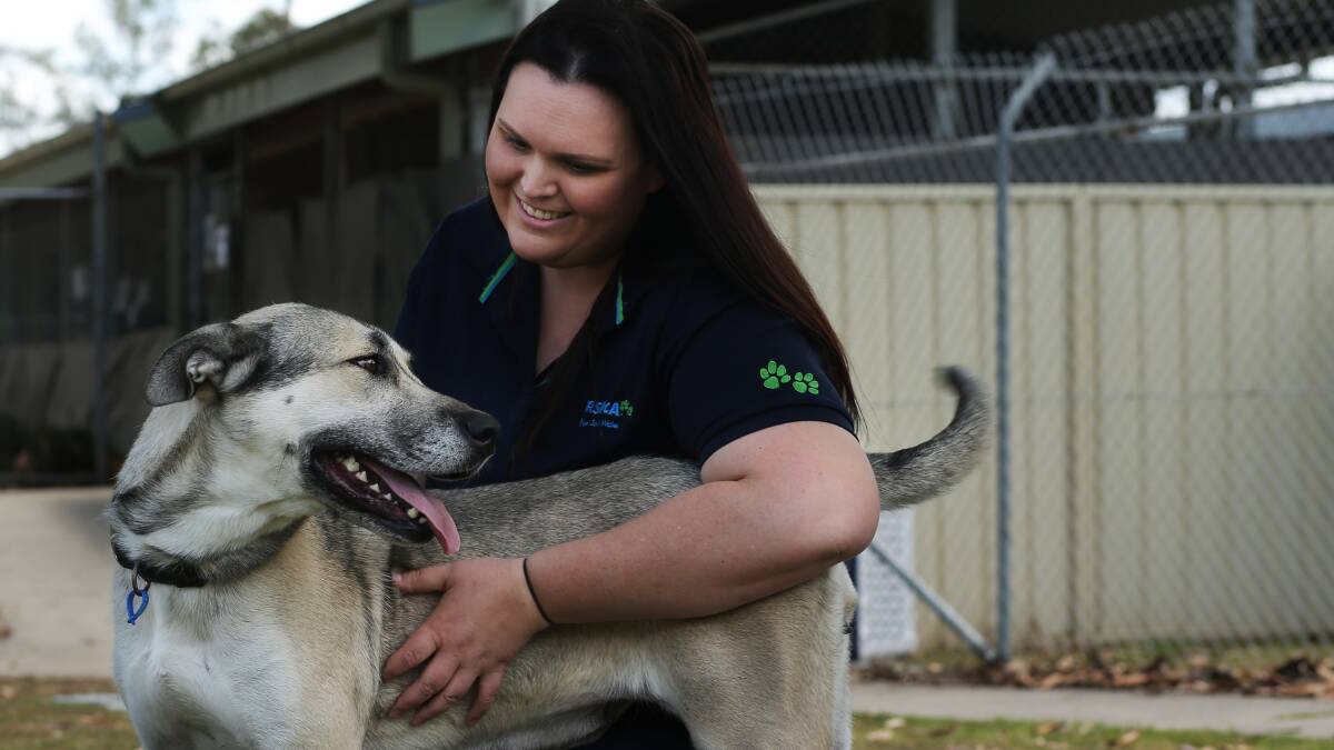 RSPCA NSW Hunter Shelter Supervisor Emilie Hayes with Savannah, who is up for adoption. Picture by Simone De Peak
