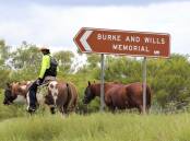 Monique and Erwin van Vliet have travelled 10,000 kilometres around Australia to Mount Isa on horseback. Picture supplied.