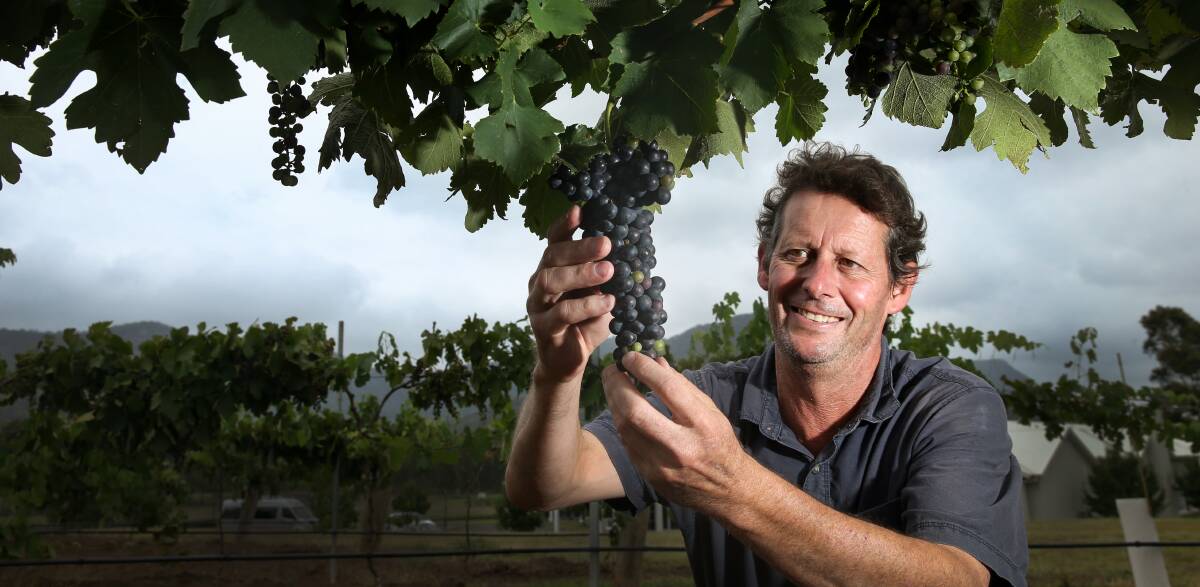 Leogate winemaker Mark Woods says the 2024 Hunter vintage is "a nine out of 10". Picture by Marina Neil